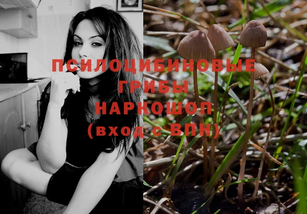 стафф Баксан