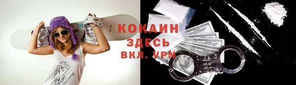 стафф Баксан