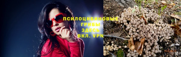 гидра Балабаново